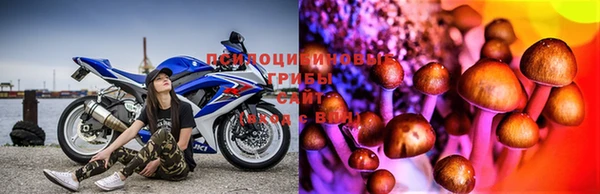 спиды Ростов