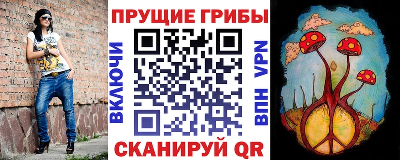 Галлюциногенные грибы Cubensis  Купить  Нижневартовск 